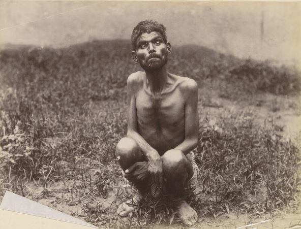 dina-sanicar.jpg