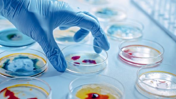 laboratorija-shutterstock-1672672963.jpg