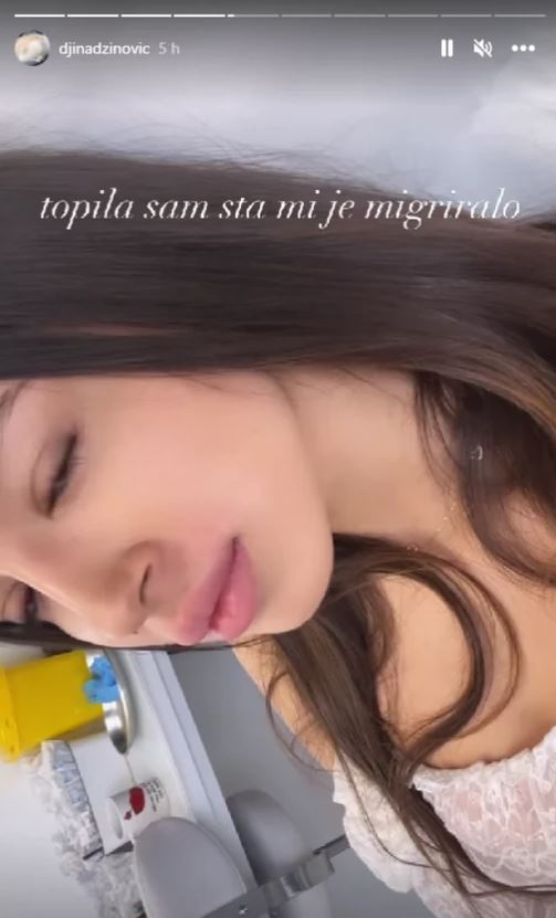 djina-dzinovic.jpg