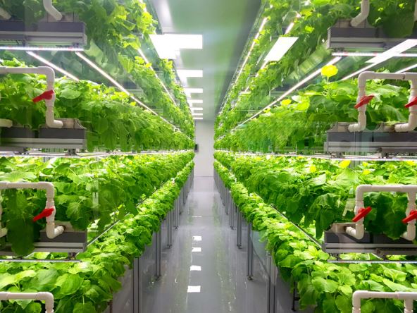 a-windpowered-vertical-farm-shutterstock.jpg