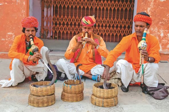krotitelji--duvackim-instrumentima-hipnotisu-otrovnice-nagovaraju-ih-da-igraju-uz-muziku--stockphotoagraindiaaprilunidentifiedsnakecharmersatthestreetofagraindiasnake426946867.jpg