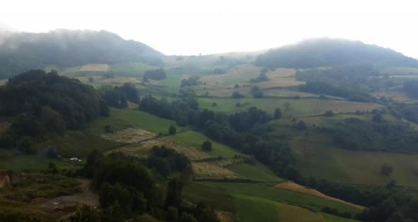 vrhpolje.jpg