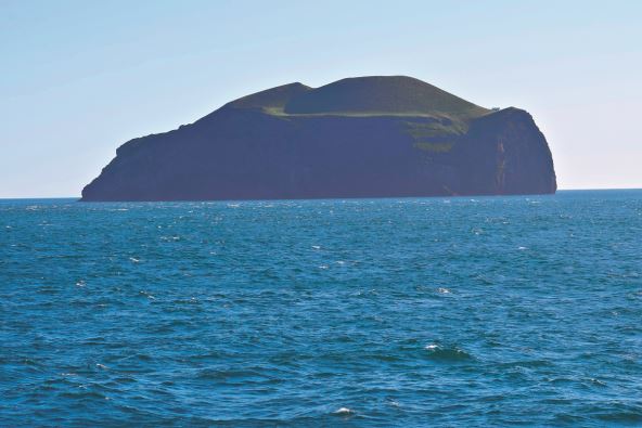 ostrvo-elidej-island-stockphotoelliaeyinicelandlonelyhouseongreenisland2135392713.jpg