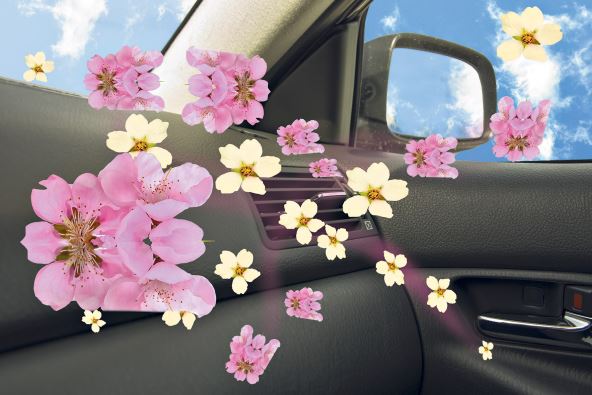 antr-2-stockphotodeodorantinthecar625030520.jpg