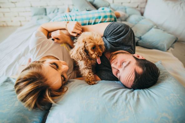 stockphototopviewofhappyyoungfamilyrelaxingonbedtogethermanandwomanwithpetdoginbedroom660336781.jpg