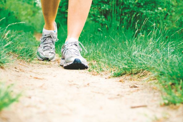 pokrenite-telo-stockphotowomanwalkingontrailpathonmeadoworforestjoggingortrainingoutsideinsummernature53114395.jpg