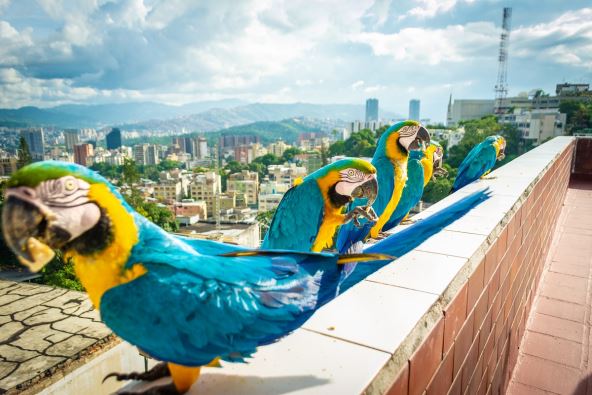 karakas-shutterstock-1806424582.jpg