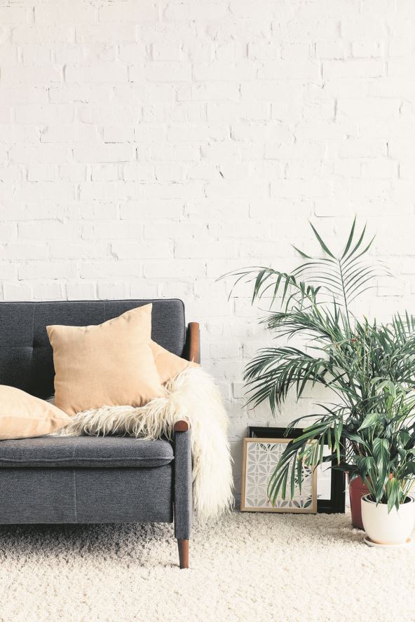 udaljite-namestaj-od-zida---stockphotocomfycouchwithflowerpotsinwhitelivingroominteriorwithbrickwallmockupconcept1012998403.jpg