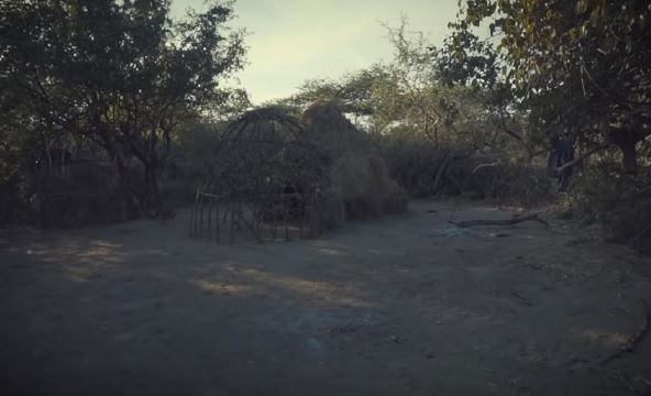 busmani3.jpg