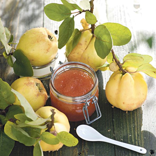 stockphotofreshquincejam113847211.jpg