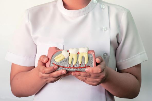 kakve-probleme-mogu-da-prouzrokuju---stockphotodentistholdingawisdomteethmodel178444697.jpg