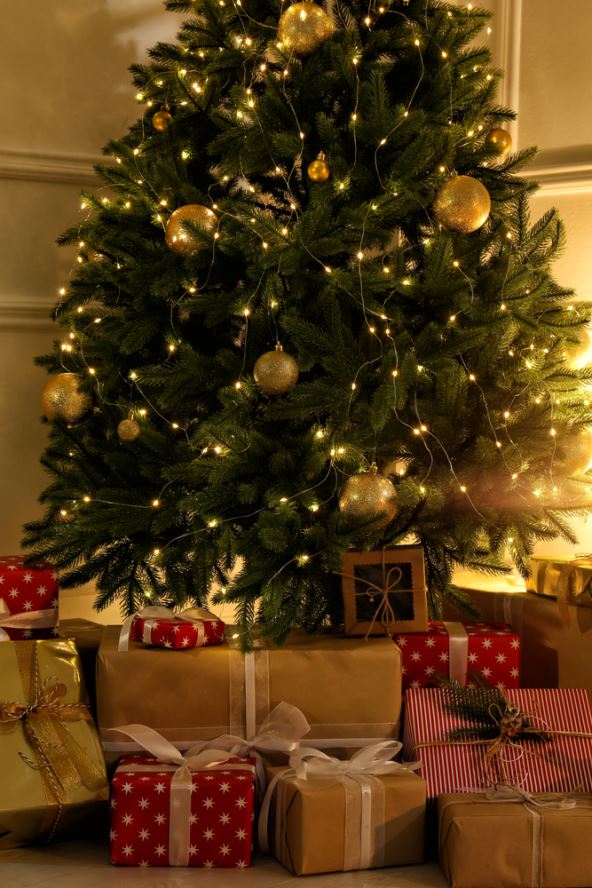 shutterstock-1891510834.jpg