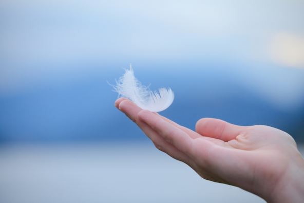 shutterstock-2255745363.jpg