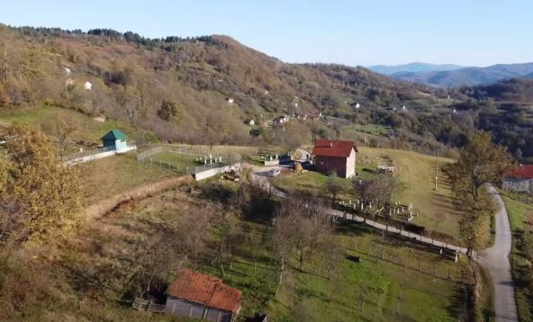 bosna.jpg