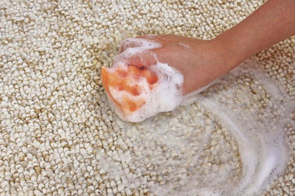 ribanje-mrlja-i-fleka--stockphotofemalehandcleansthecarpetwithaspongeanddetergent328485143.jpg