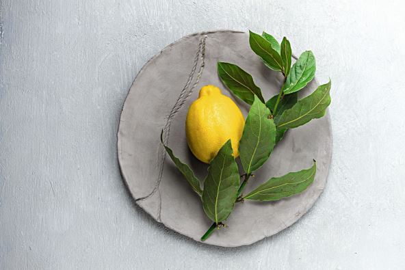 stockphotoabranchoffreshbayleafwithlemononagrayplatefoodconcepttopview2225874087.jpg