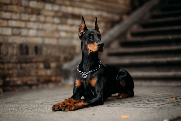 shutterstock-1841841697.jpg
