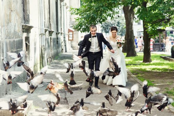 shutterstock-471845264.jpg