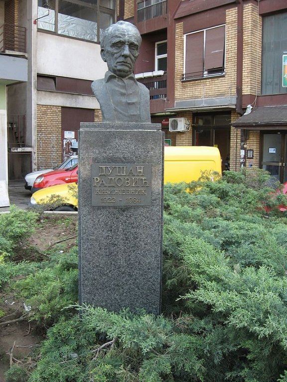 bista-duska-radovica-u-nisu.jpg