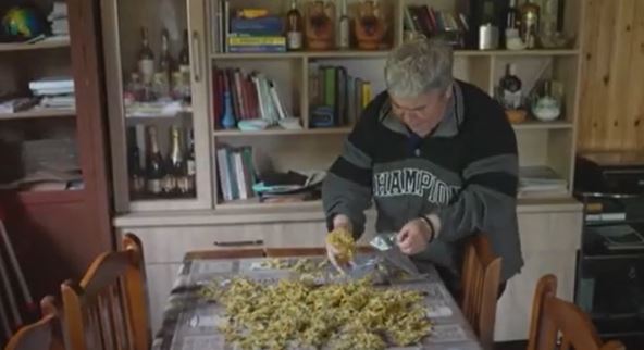 virdzina5.jpg