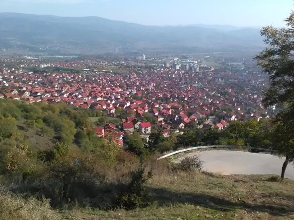 svranje2.jpg