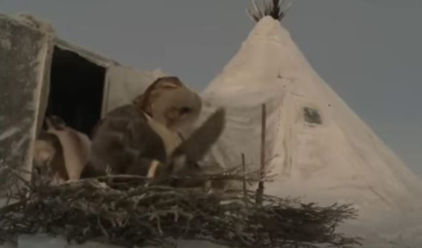 20250212-09-06-57pregnancy-and-giving-birth-in-arctic.-north-nomads-life--youtube.jpg