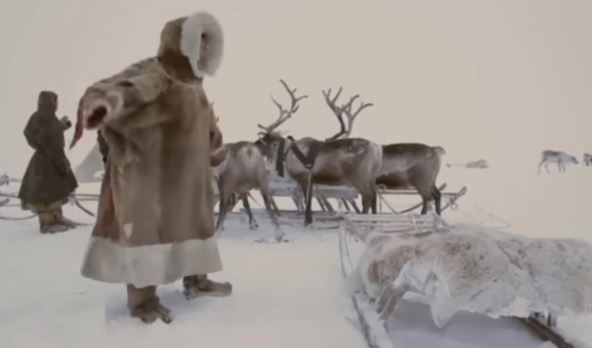 20250212-08-56-36pregnancy-and-giving-birth-in-arctic.-north-nomads-life--youtube.jpg