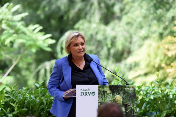 svetlana-jovanovic-mitic234.jpg