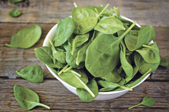 spanac--stockphotospinachinthebowlonthedarkwoodbackgroundtoning191806472.jpg