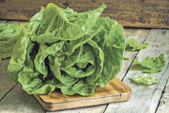 zelena-salata--stockphotoripeorganicgreensaladromanoonacuttingboard249162988.jpg
