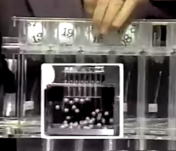 loto.jpg