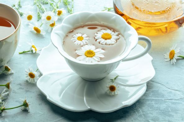 caj-od-kamilice--stockphotochamomileflowerteaateacupandateapotwithfreshmedicinalflowersnaturalorganicremedy2486168075.jpg