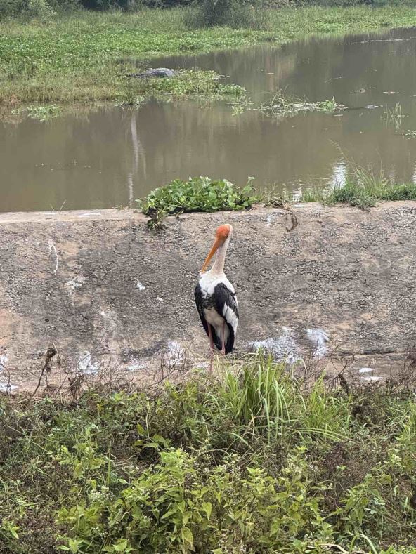 srilanka9.jpg