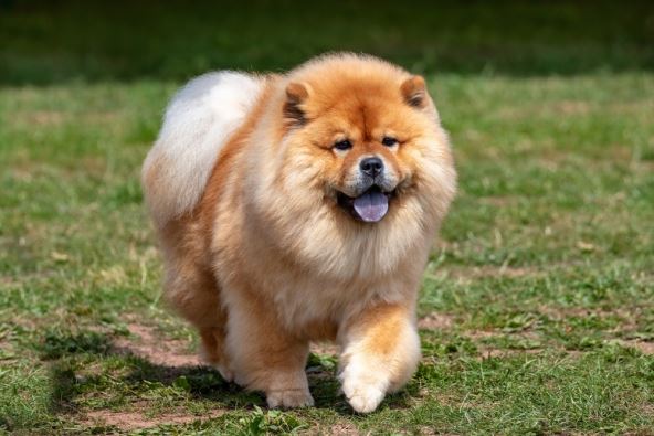 shutterstock-2223221557.jpg