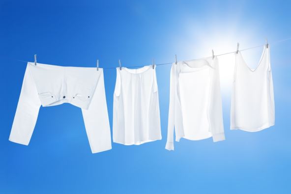 shutterstock_2433789823.jpg