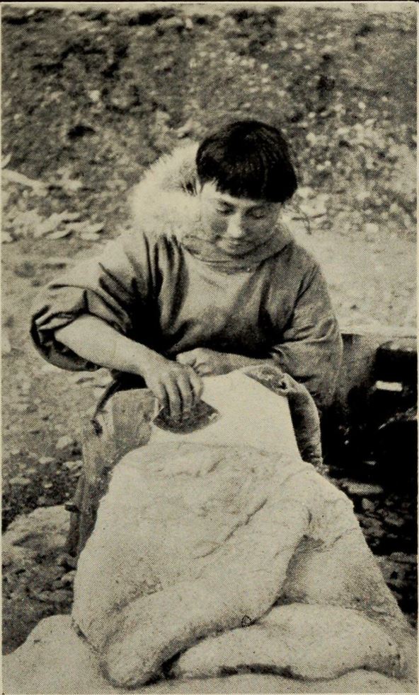Ada_Blackjack_removing_blubber_from_a_sealskin.jpg