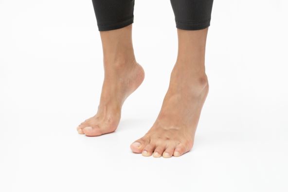 shutterstock_2252625397 (1).jpg