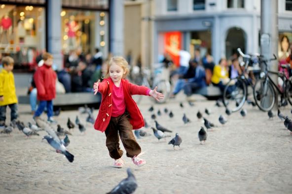 shutterstock_2132516687.jpg