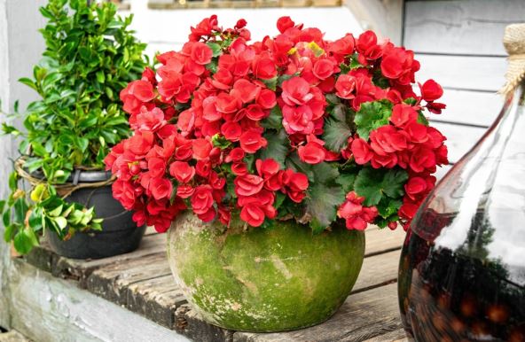 shutterstock_2480115481.jpg