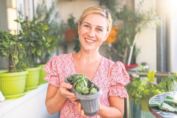 stock-photo-happy-woman-gardening-on-balcony-at-home-she-is-looking-growth-of-her-houseleek-plant-2366998717.jpg