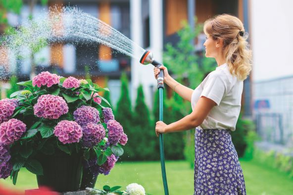 REDOVNO ALI PAMETNO ZALIVANJE   stock-photo-girl-holds-up-garden-hose-watering-flowers-in-the-garden-2312674281.jpg