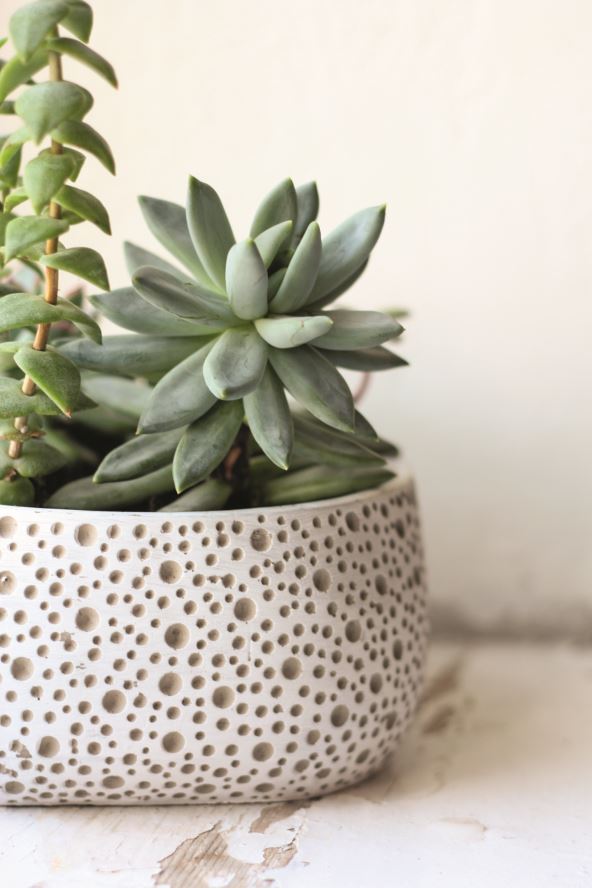 SUKULENTI stock-photo-scandinavian-style-pot-with-a-lot-of-succulent-plants-1137932597.jpg