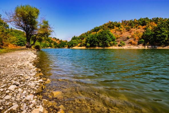 shutterstock_1118012648.jpg