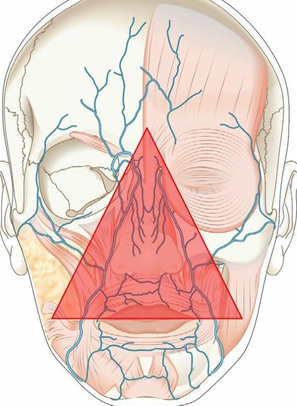 Bubuljica na trouglu smrti