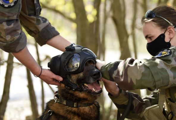 Screenshot 2025-08-15 143709.png