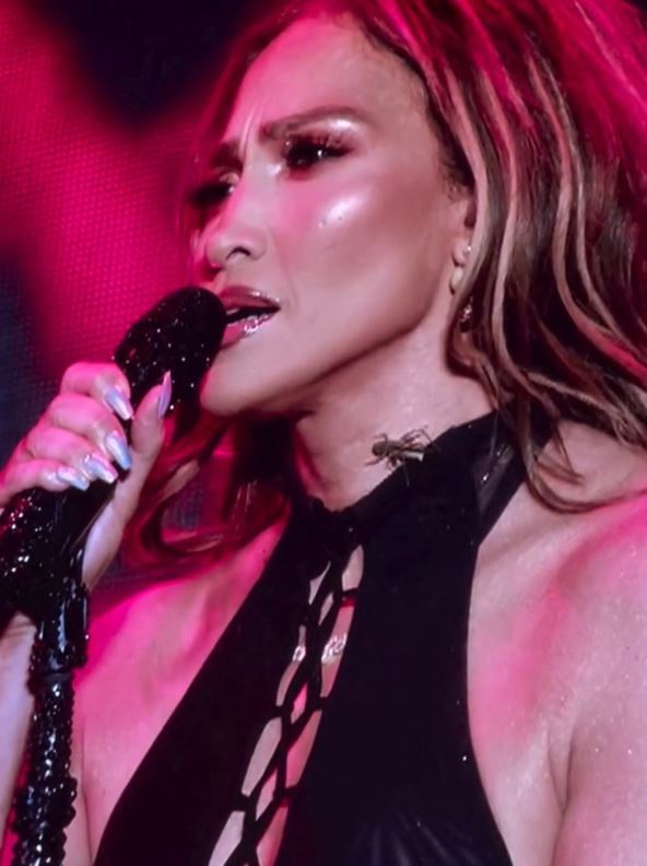 Dženifer Lopez na koncertu dok po njoj mili skakavac