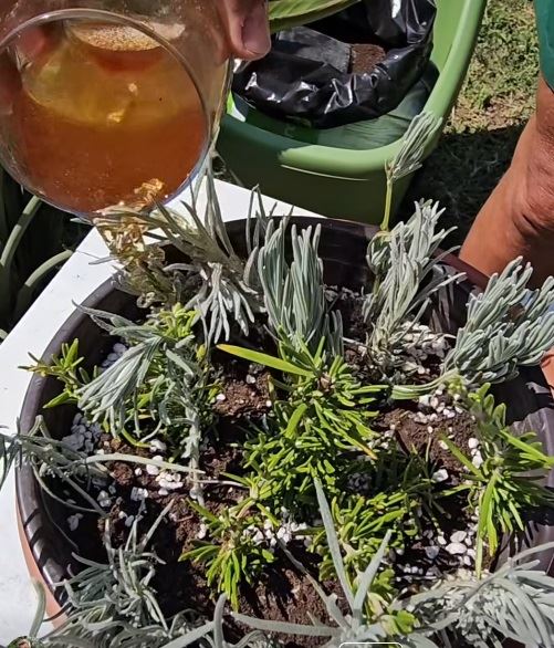 Dejan Baštovan2.jpg