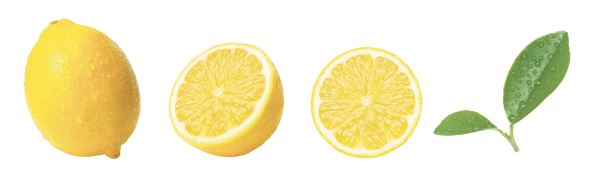 4   stock-photo-fresh-lemon-fruit-with-slice-and-citrus-leaves-isolated-on-white-background-2630940501.jpg