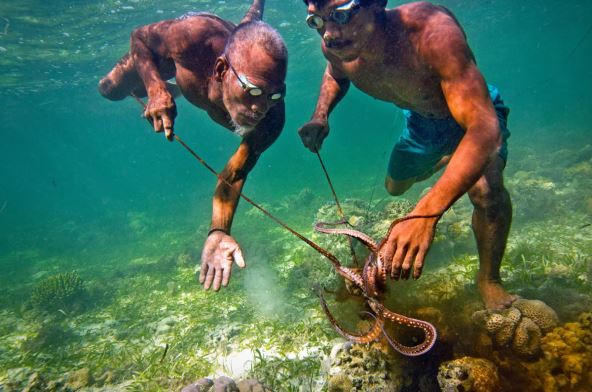 badzao-pleme (3).png