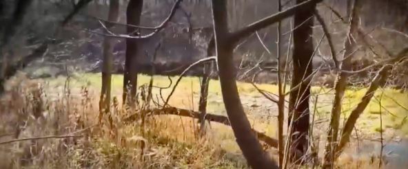 Mesto zločina Libi i Abigejl